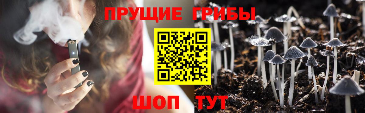 Владимир  Галлюциногенные грибы GOLDEN TEACHER  Вход с VPN  Псилоцибиновые грибы мицелий 